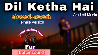 Dil Kehta Hai Female Version Song Lofi | Lofi songs | new song Hindi | Am Lofi Music 🎶