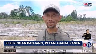 Petani di Ambon Alami Gagal Panen