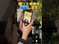 【試したくなる小技】玉ボケiphoneで撮れるんです。 shorts