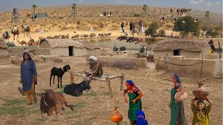 Beautiful Pakistan Desert Village Life At Pakistan India Border | Cholistan Desert  | Village Vlog