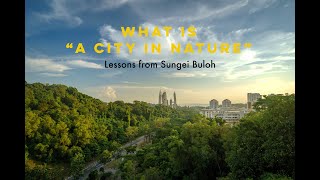 What is “A City in Nature”: Lessons from Sungei Buloh