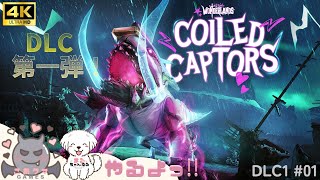 【ワンダーランズ～タイニー・ティナと魔法の世界】PS5版 DLC第１弾 『コイルドに囚われし者』COOPでサクッと遊んでくぜ！