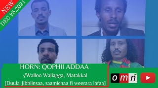 OMN:Qophii Addaa: Duula Jibbiinsaa, saamichaa fi Weerara lafaa.(MUDDEE 25, 2021)