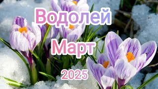 ВОДОЛЕЙ ♒ МАРТ 2025✨ Тароскоп ✨