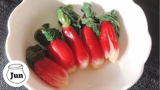 Pickled Radish｜Rhubarb Harvest｜Walking to Enjoy Flowers｜Japanese Home Cooking