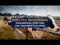 Bird Flu in Humans: Transmission, Symptoms and Treatment of Avian Influenza (H5N1)