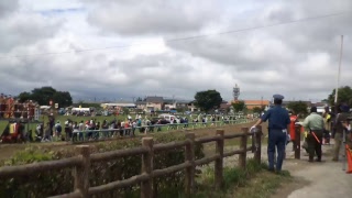 野馬追ライブ  2017 本祭り 競馬