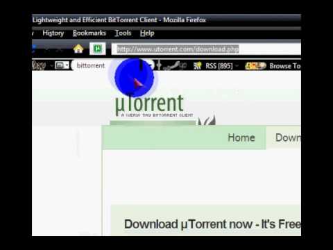 How To Download Torrents For Beginners - YouTube