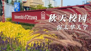 💖Autumn Walking in the University of Ottawa|Canada 4K|2023