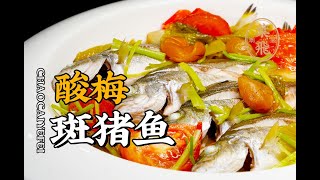 【潮菜叶飞】酸梅煮斑猪鱼：Braised “Spot Pig” Fish with Sour Plums