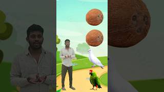 Rounding Coconut To Pigeon Parrot and Peacock #youtubeshorts #shorts