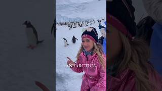 Luxury in Antarctica | Echo, the world's most remote camp (phenomenal!) #antactica #shorts