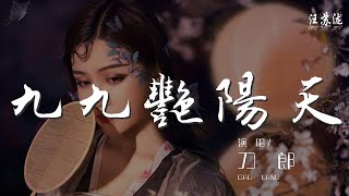 九九豔陽天 - 刀郎『只要你胸戴紅花呀回家轉』【動態歌詞Lyrics】