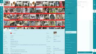 ADF Digital Forensic Image Recognition and Classification