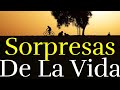 LA VIDA Te Sorprende ¦ Reflexión, Motivación, Gratitud