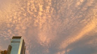 Sunset Mamma Clouds Afterglow Hong Kong 火燒乳狀雲 15-08-2022