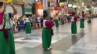 松山野球拳おどり2022年❤️フジカンパニーズ連【大街道商店街】企業連