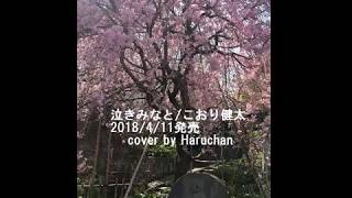 泣きみなと cover by Haruchan