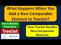 What Happens When You Add a Non-Comparable Element to TreeSet? | Java Collection Framework
