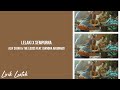 Alif Satar & The Locos feat  Diandra Arjunaidi - Lelaki X Sempurna (Lirik Lentok)