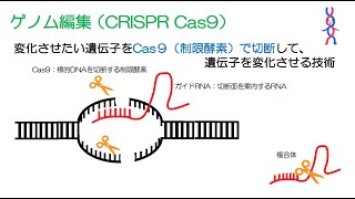 39高校生物「バイオテクノロジー」2022