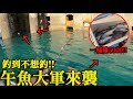 一桶賺5000！原來這裡就是午魚藏身之處！釣爆桶不是問題！ @fishingintaiwan