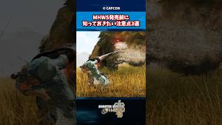 MHWS発売前に知っておきたい注意点3選【モンハンワイルズ】【MHW】【モンハン】【モンスターハンター】#モンハンワイルズ #モンハン #モンスターハンター