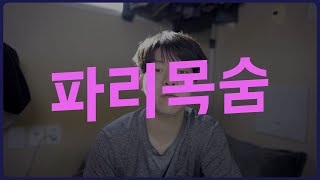 370. 트위치코리아의 갑질? and 파리목숨