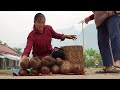 a lucky day in the forest harvested giant potatoes goes to market sell