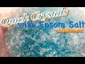 Quick Crystals with Epsom Salt Experiment (epsom salt experiments/magnesium sulfate)