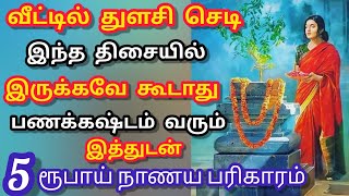 வீட்டில் துளசி செடி இந்த இடத்தில் இருக்ககூடாது/பணகஷ்டம் வரும்/நிச்சயமாக உங்கள் வறுமை விலகும்