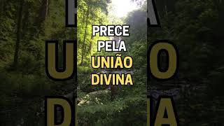 Prece pela União Divina #almagêmea #amor #oração #união