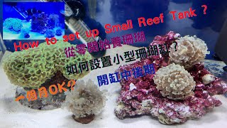 Small Reef Tank 2022. How to set up a small reef tank? 從零開始養珊瑚，如何設置小型珊瑚缸？小珊瑚缸開缸中後期，一個月OK？