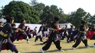 碧南やってみりん祭2011 　総踊り　相模原乱舞