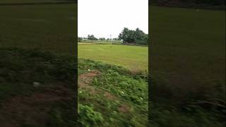 |Delta train journey|Thiruvarur to Thanjavur|UmaRaja's Samayal Kitchen|#train #journey #nature