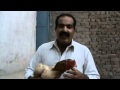 OLD ASEEL HEN _ by Usted Rana Safdar Shab city Gujranwala‬‏.flv