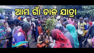 ଆମ ଗାଁ ଡାଳ ଯାତ୍ରା || ବାଥୁଡିଜାତି ସମ୍ପ୍ରଦାୟର ପାରମ୍ପରିକ ପର୍ବ || BATHUDI TRADITIONAL CULTURE