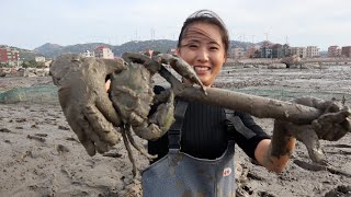 海边泥坑超级多，渔妹来挖海货挖了不少，野生个头又大又肥