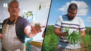 Latinx Entrepreneurs Of The Cannabis Industry