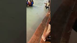 हर की पौड़ी पर दिखाई दिया सांप#haridwar #status #shortvideo #ganga maiya haridwar