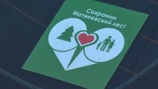 Матвіївський  ліс: чи збережемо природу Миколаївщини