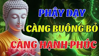 Nghe Bài Giảng Này: Bạn Sẽ Hiểu Vì Sao “CÀNG BUÔNG, CÀNG HẠNH PHÚC” (Rất Hay) | Lời Phật Dạy
