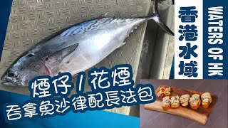 【漁人推介】香港水域 帶你出海用仕掛釣活餌，用活餌釣煙仔/花煙，香港釣魚 教你自製吞拿魚沙律配長法包 Fishing Fillet Clean Cook Tuna fish recipe