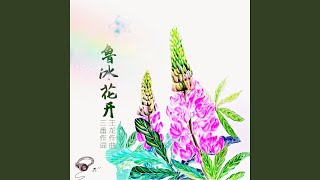 鲁冰花开 (Ver.3)