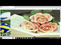 Bootstrap Dropdown Tutorial How to Create Menus, Split Buttons & Advanced Dropdowns | Appin