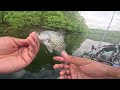 Jig Fishing For SLAB Crappie (Catch & Cook)