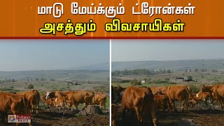 மாடு மேய்க்கும் ட்ரோன்கள்.. அசத்தும் விவசாயிகள்..!