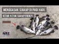 Siakap FRENZY di pagi hari. Pusat Memancing Nazri. #018