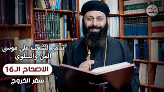 تذمر الشعب على الله وعلى موسى ( المن والسلوى)  سفر الخروج 16 الاصحاح السادس عشر - اصحاح في دقيقة