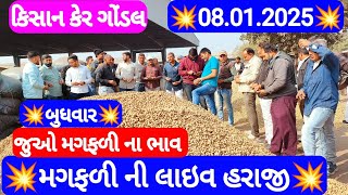 નવી મગફળીના બજાર ભાવ | મગફળીના આજના બજાર ભાવ | ગોંડલ મગફળીના ભાવ | Gondal marketing yard 08.01.2025